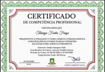 Auricoloterapia